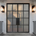 Steel French double door with frosted glass