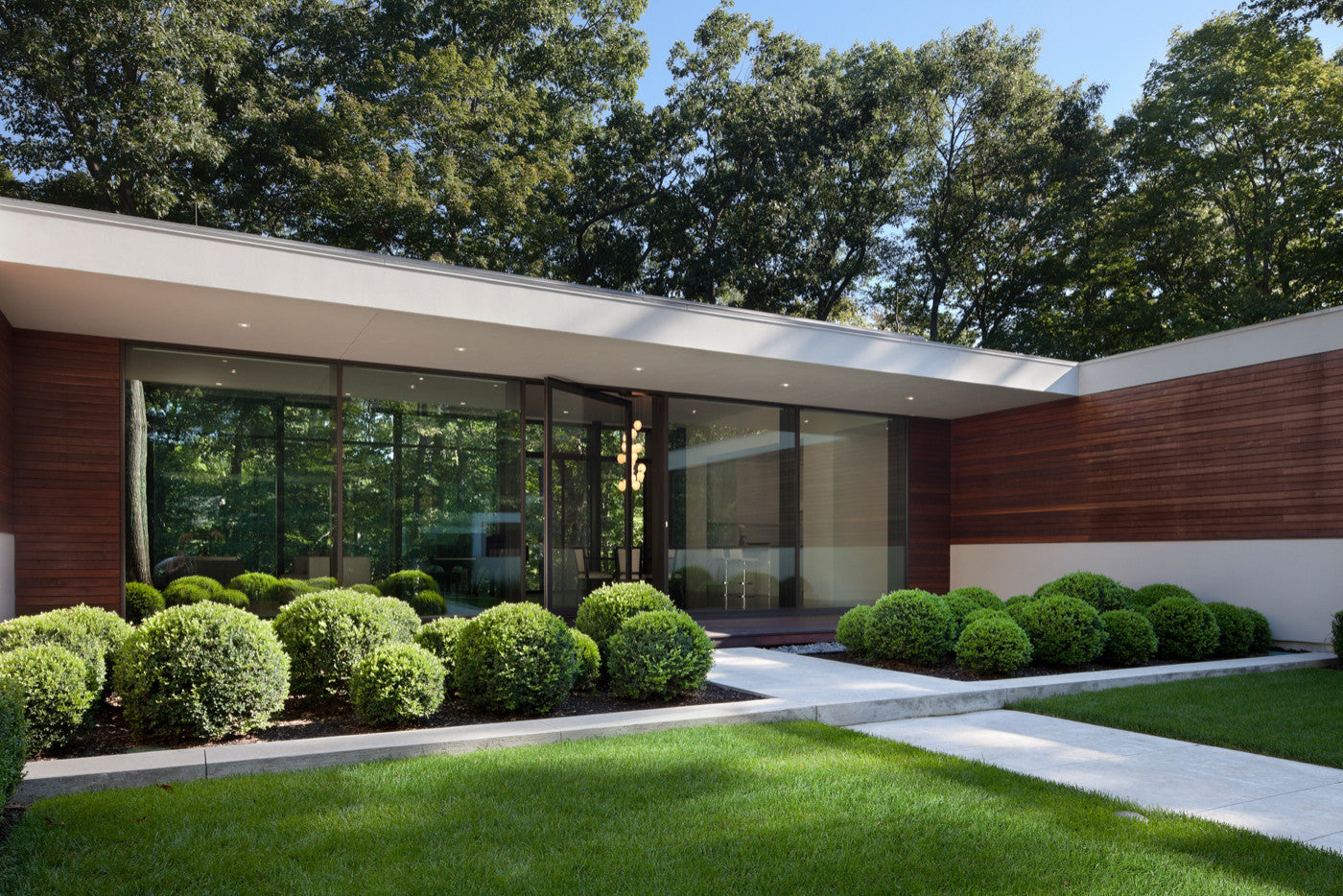 pivot iron door