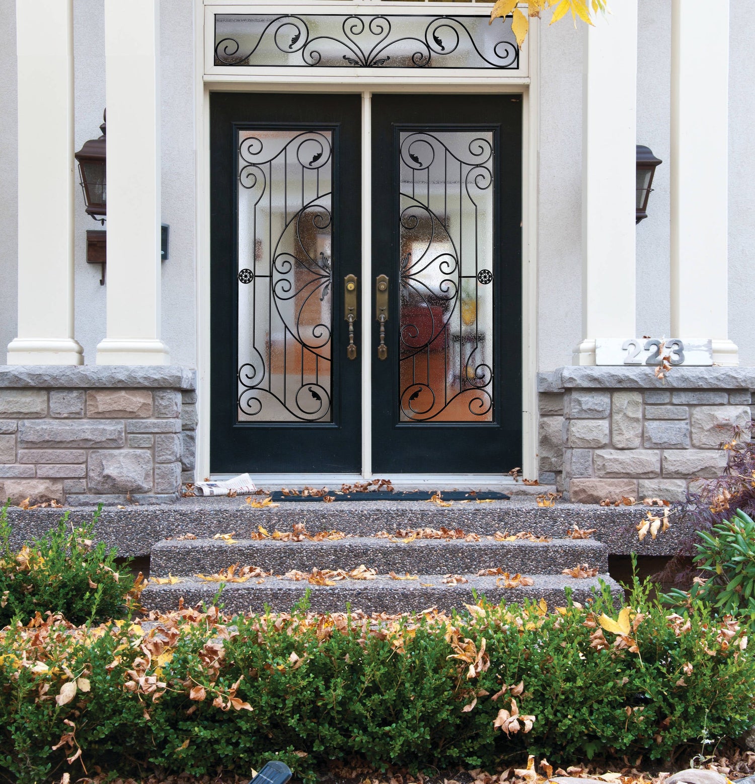 GID iron entry door
