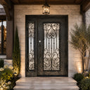 Single wrought iron entry door with matching sidelight