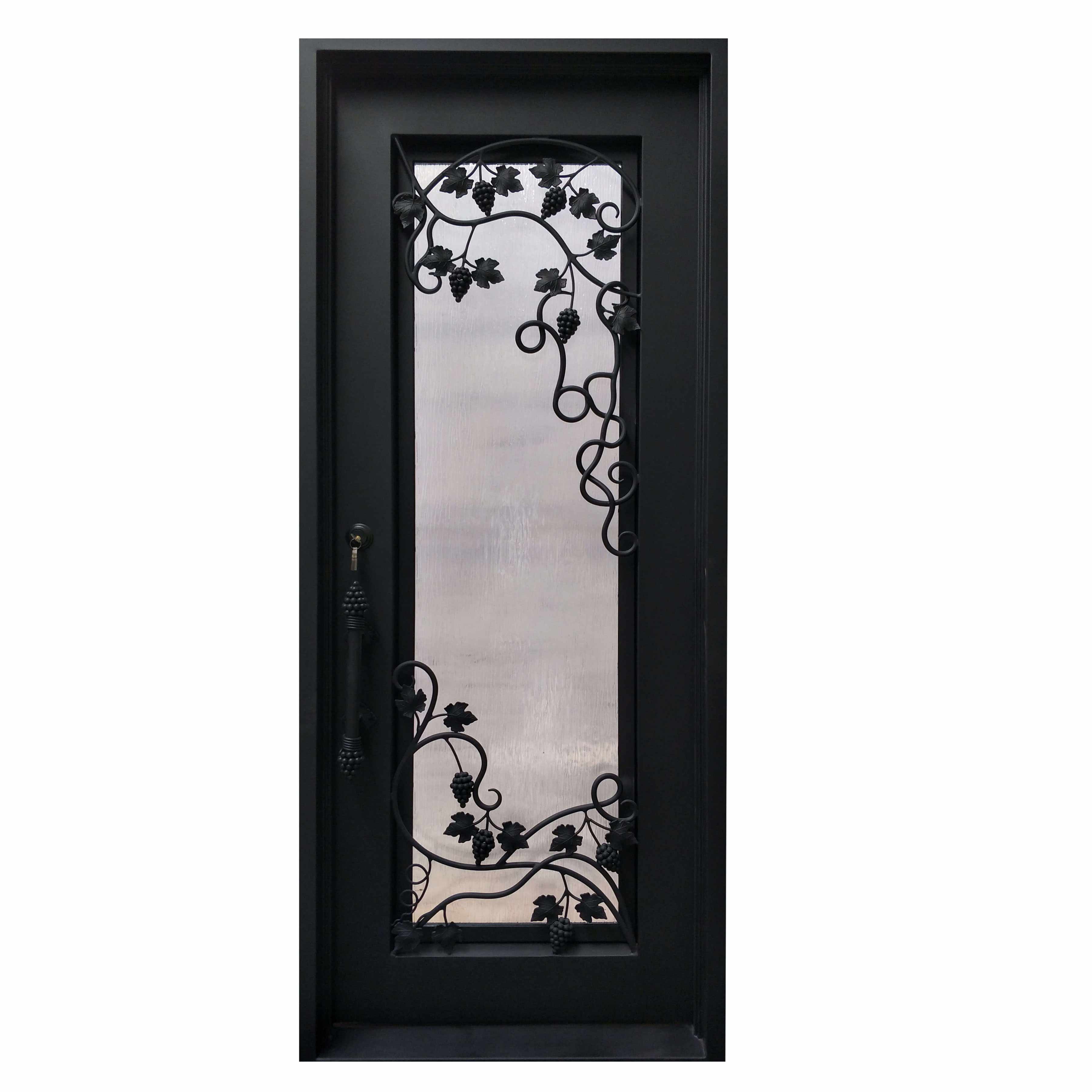 elegant design iron forged single door with frosted glass