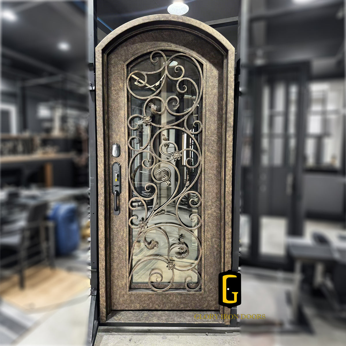TED429 Thermal Break Iron Entry Door custom door