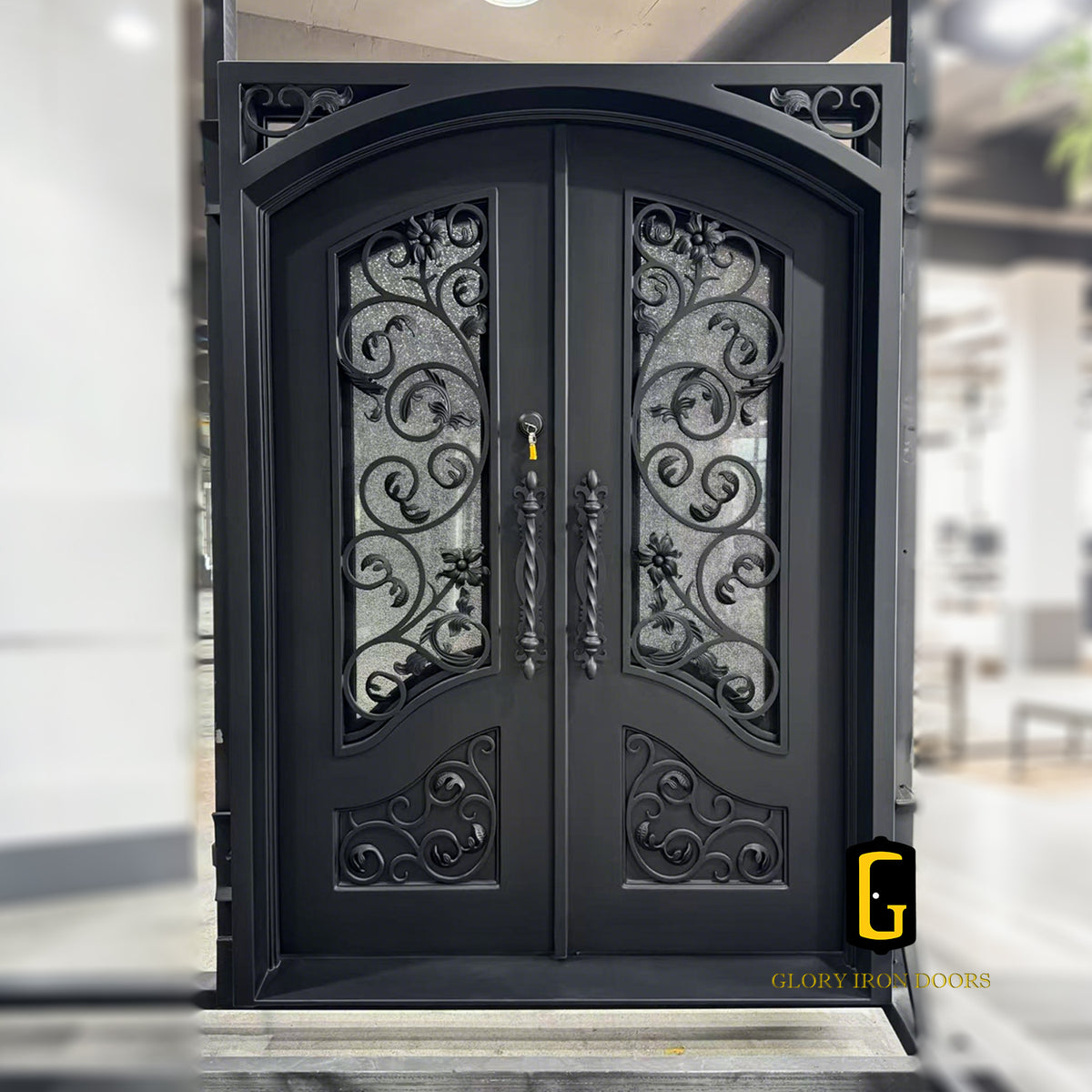 TED436 Thermal Break Iron Entry Door custom door