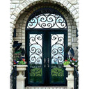 double iron door with transom and matte black frame