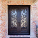 double iron door with kickplate and aquatex glass